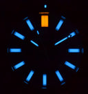 Bronze Cusn6 Daynight Tritium T-100 Automatic Diver Blue