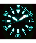 Depth Star 3000 Grey