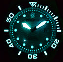 Dive Master 500 Swiss Automatic Diver Silver