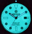 Diver 1000 Automatic Diver Blue Ceramic Bezel – Blue Full Luminous Dial Bracelet