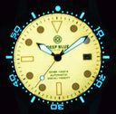 Diver 1000 Automatic Diver Black Bezel – Orange Full Luminous Dial