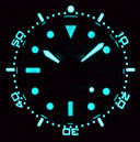 Diver 1000 II 40mm Automatic Diver Black Ceramic Bezel Labradorite Phoenix Stone Dial Dial Strap