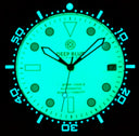 40mm Diver 1000 II 40mm Automatic Diver Black Ceramic Bezel White Full Lume Dial Strap