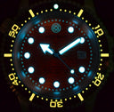 Juggernaut Iv Swiss Automatic � Diver Orange