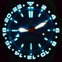 Master 2000 GMT Automatic Diver- Eta 2836-2 Swiss Made Movement Blue
