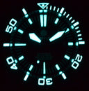 Master 2000 Swiss Automatic Diver Black-black-pvd Black Case