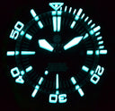 Master 2000 Swiss Automatic Diver Black – Blue/purple Sunray Dial – Blue Hands