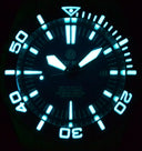 Master 2000 Swiss Automatic Diver – Blue-blue-blue