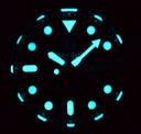 Military Diver 300 Automatic – SS Diver Silver Ceramic Embossed Bezel Green Dial