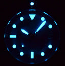 Pro Diver 200 — Blue Abalone Bracelet