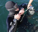 Sun Diver — Sea/ Sea Rubber Strap